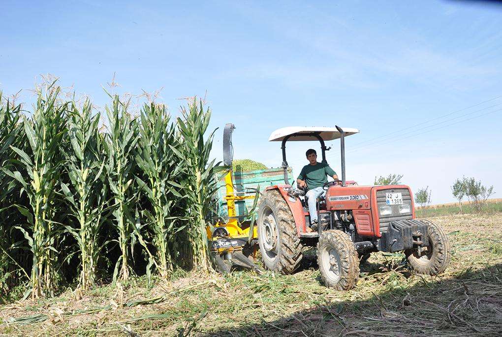 upload resim 5d244403a143e