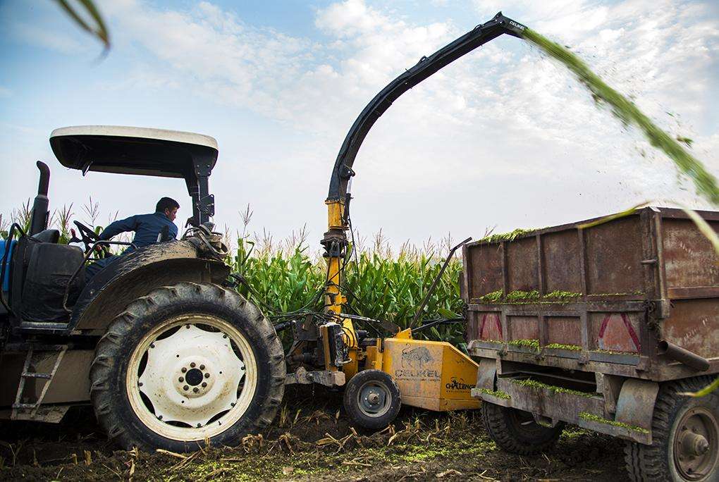 upload resim 5d24450e786d3