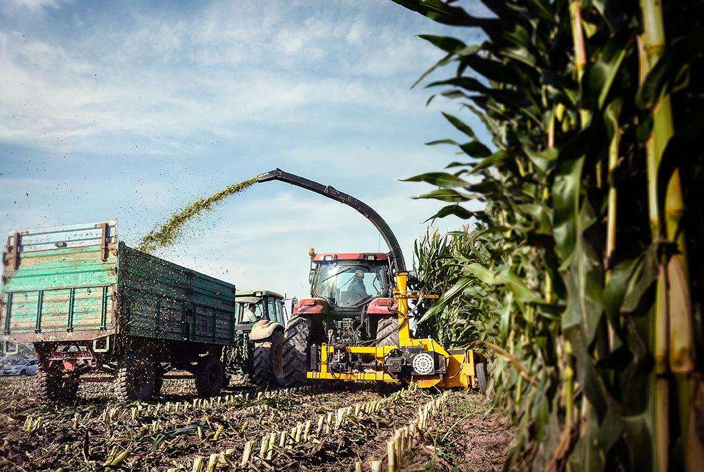 upload resim 5d244525aa24f