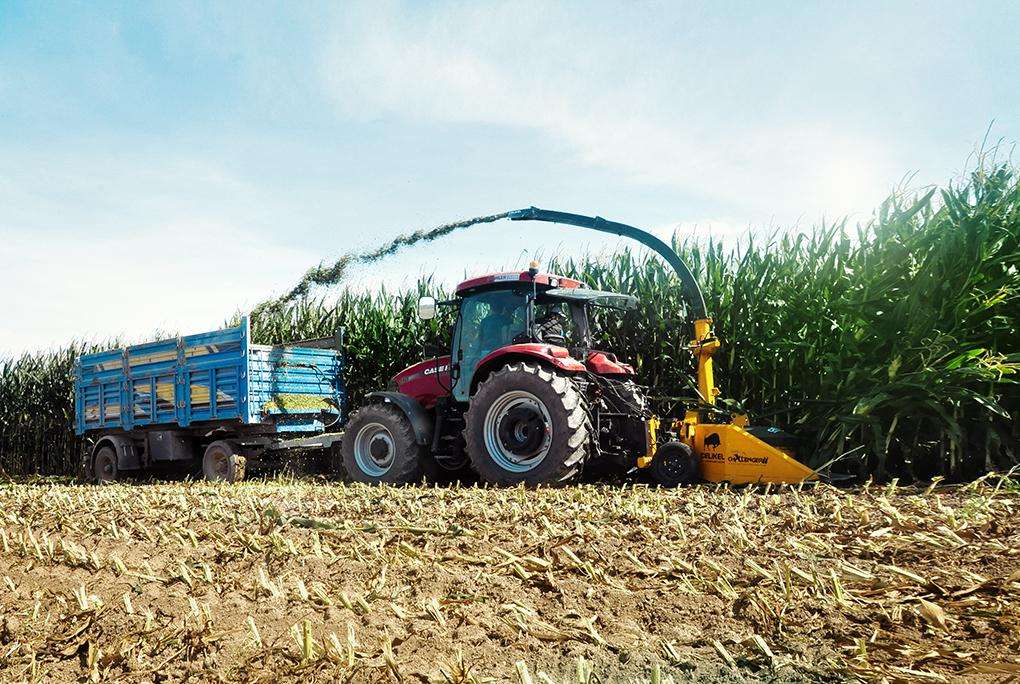 upload resim 5d2445546e361