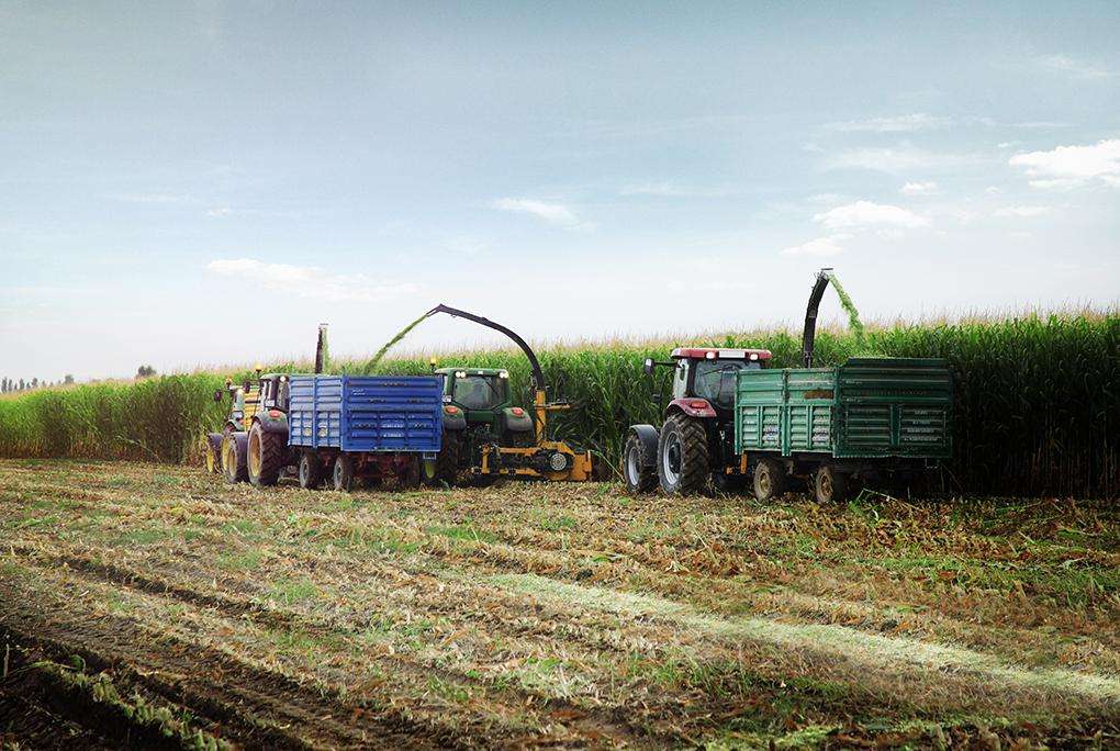 upload resim 5d24457b1a605