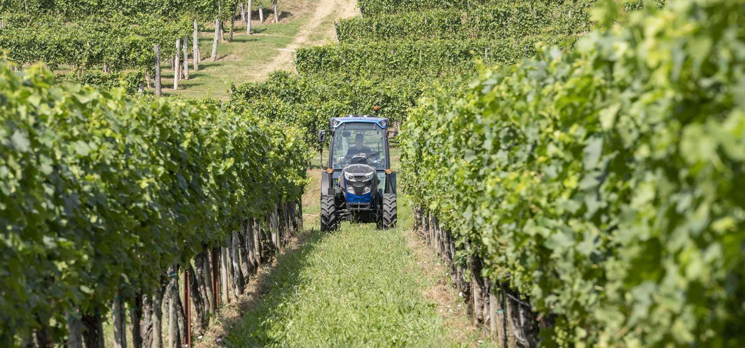 LA RP5D REX4 BlueIcon Field InterRowTool Blades 001