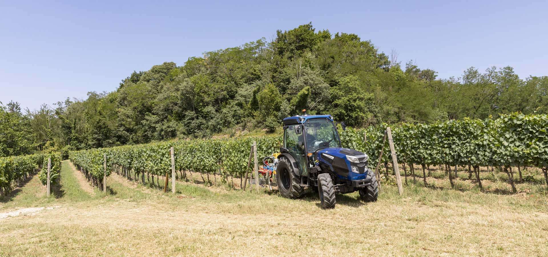 LA RP5D REX4 BlueIcon Field InterRowTool Blades 014