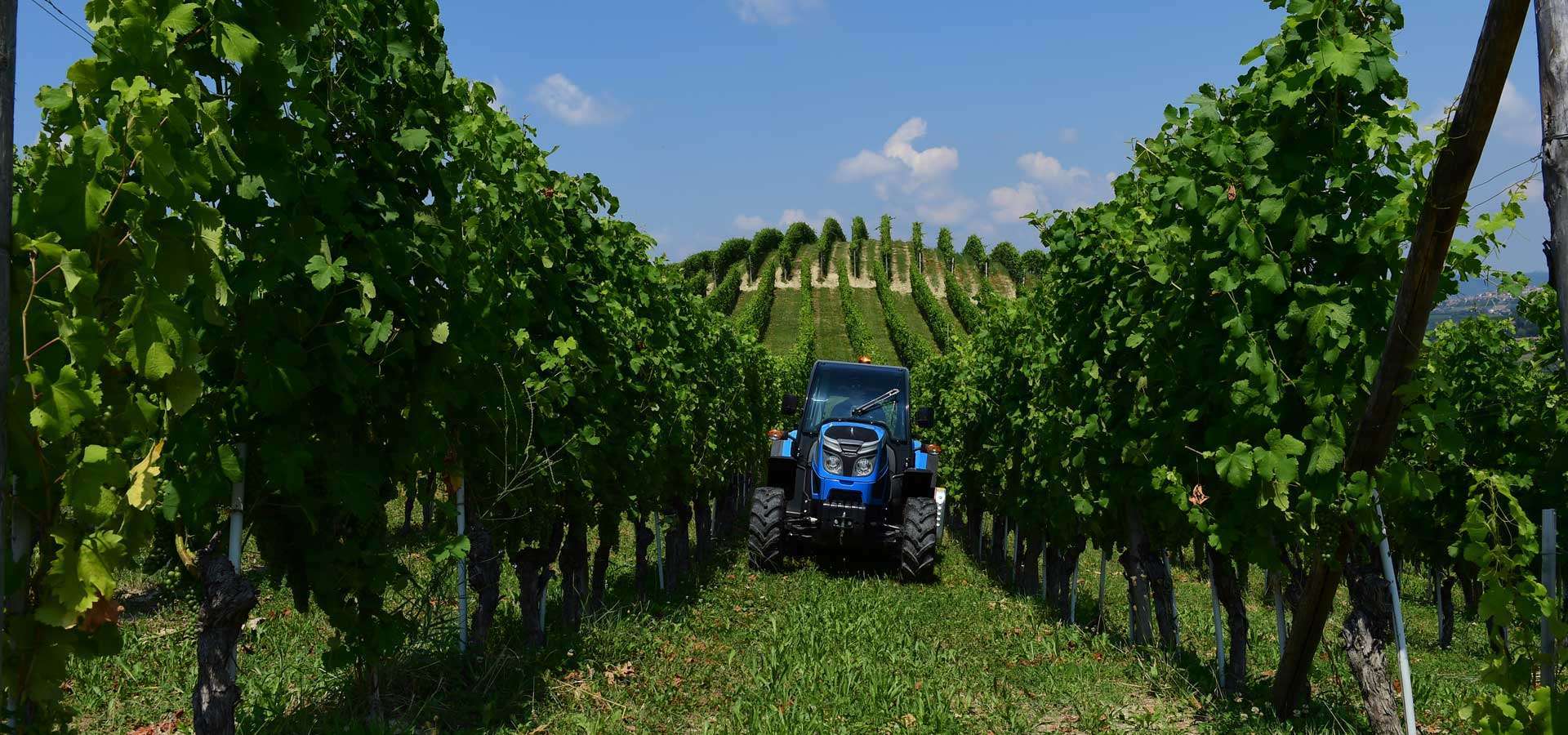 LA RS61 REX3F Cab Field PowerHarrow 026