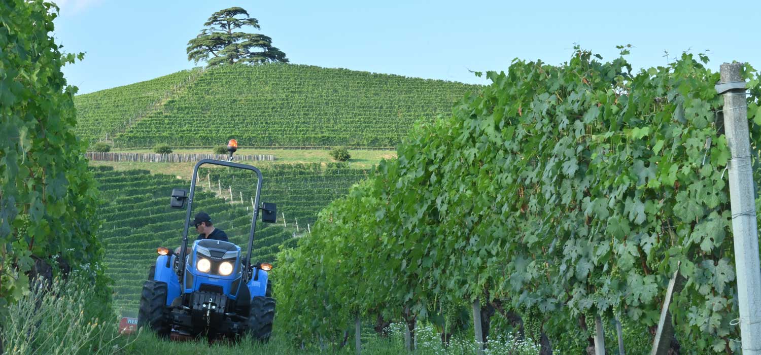 LA RS61 REX3F Plat Field PowerHarrow 002