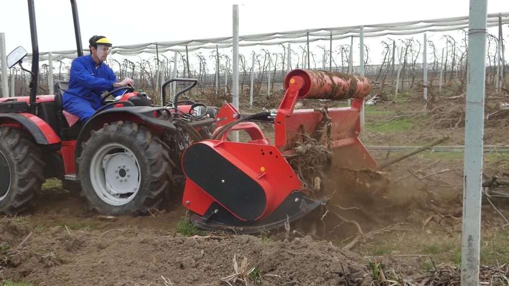 581806241 1628200701772144 7668597264830065483 n